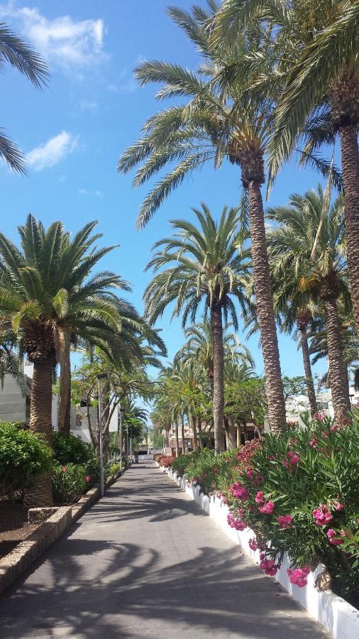 Simple Apartment Frontera Primavera Pool In South Tenerife Costa Del Silencio Luaran gambar